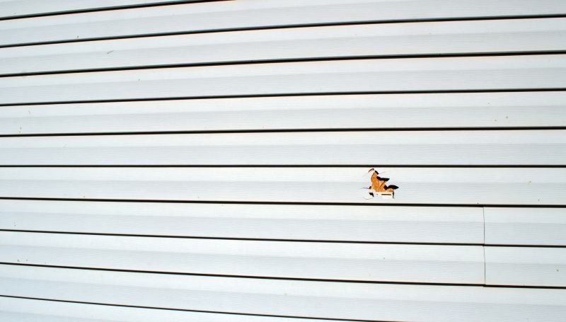 Siding Repair Results